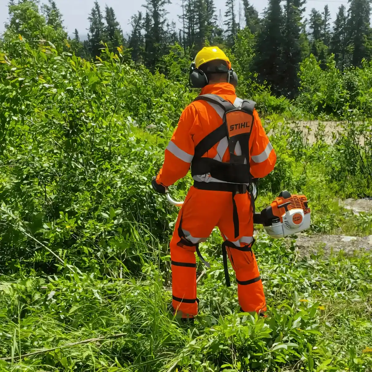 Nos formations | Formation Sc 22