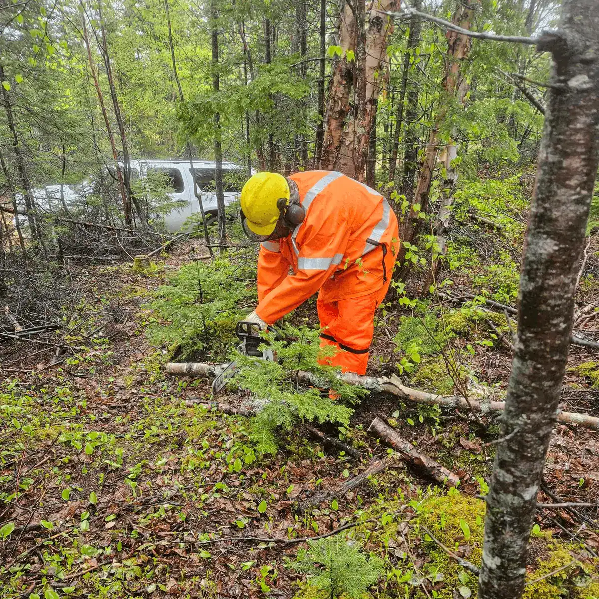 Nos formations | Formation Sc 20